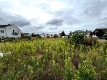 Pendler aufgepasst! Grundstück 6 mit Baugenehmigung, 64521 Groß-Gerau Dornheim, Wohngrundstück